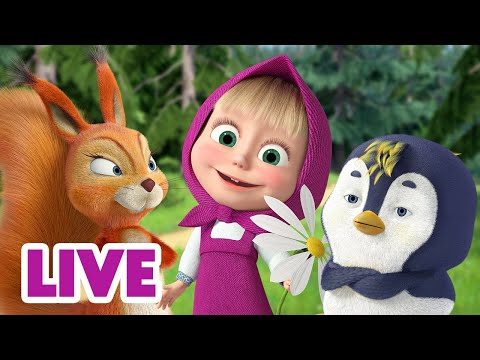 🔴 LIVE STREAM 👱‍♀️🐻 마샤와 곰 ✨ 스트리밍 중 🌍📡 Now streaming 🌟 Masha and the Bear