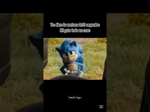 When abres la ventana :'v // #sonic #meme
