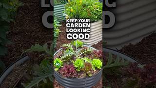 This is how I keep my garden fresh in late summer...