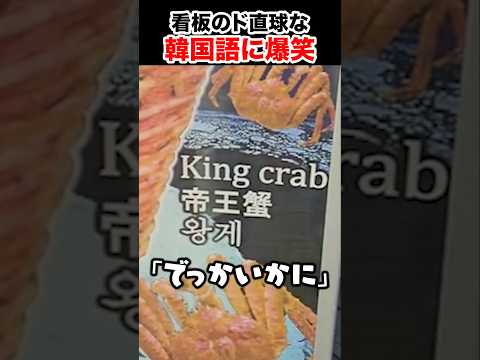ドストレートな韓国語に笑う韓国人 #shorts