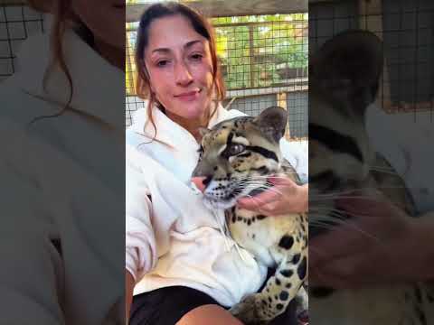 Some hugs don’t need words.🥰#fyp #animals #love #friends #cute #fypシ゚viral #animallife #wildlife