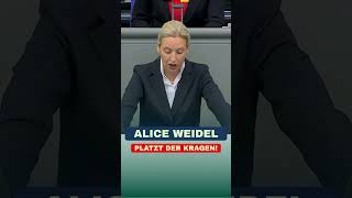 Alice Weidel PLATZT der Kragen