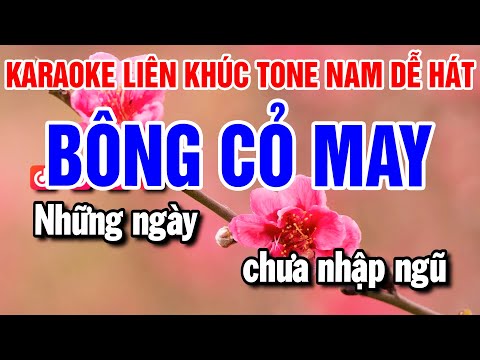 Karaoke Liên Khúc Nhạc Sống Tone Nam | Bông Cỏ May , Vùng Lá Me Bay