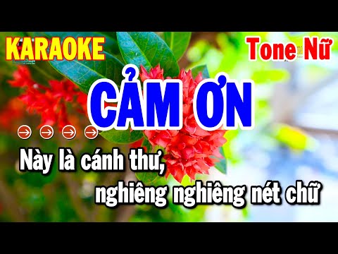 Cảm Ơn Karaoke Tone Nữ Nhạc Sống Beat Hay 2025 | Thanh Hải