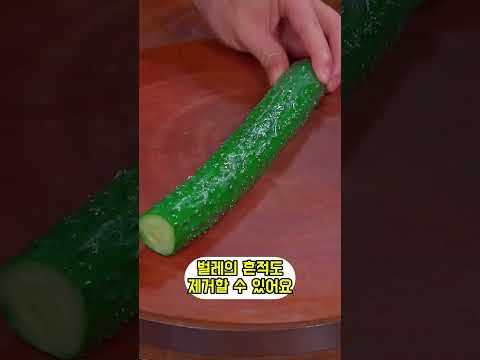 1%만 아는 초간단 오이 레시피
