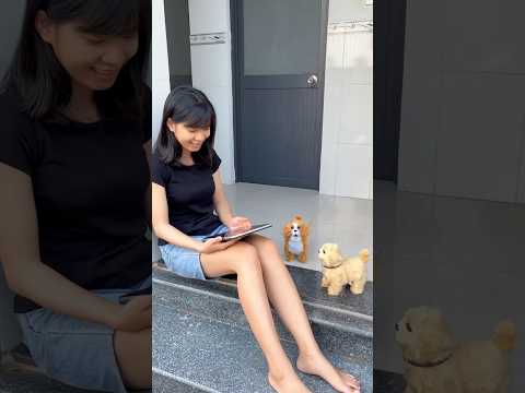 Always love dog ##shorts #chiucloving #dog