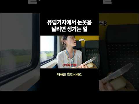 스위스 기차에서 생긴 일🇨🇭|Koreans Touched by Swiss on Train