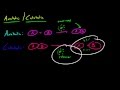 Catabolic and Anabolic Reactions Overview