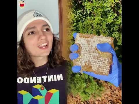 #fyp #foryoupage #fyp シ #fypage #duet #viral #tools #foryou#pov #skit #acting #story #funny