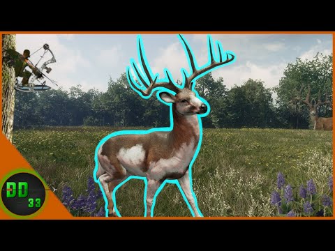 Day 11 Of Our Authentic Great One Hunt Was MAGICAL! Call Of The Wild