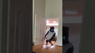 CHUY CHIQUITO intenta hacer un tiktok