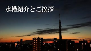 水槽紹介とご挨拶