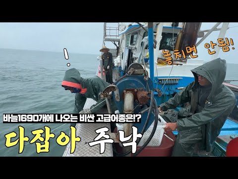 1690개 바늘에 비싼 이것들이!? 줄지어 나옵니다!이게 다 얼마야!? 초대박