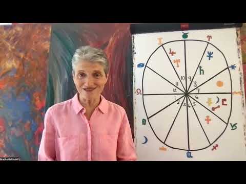 Pleiadian Oracle Card Deck  Bracha Goldsmith Your Astrology Signs