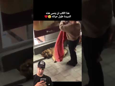 #راحة_نفسية #اكسبلور #ماوراءيات #تيك_توك #قصصواقعيه #دويتو