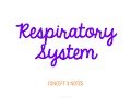 Respiratory System Functions and Structures