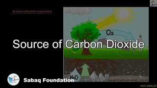 Source of Carbon Dioxide