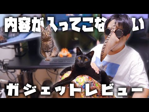 【COFO】内容が入ってこないガジェットレビュー【無重力モニターアームPro】