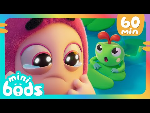 Froggie Has A Boo Boo! | 60 Minutes of Minibods | Funny Preschool Cartoons for Toddlers