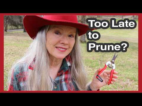 TOO LATE to prune? + Nursery Shopping with Darrell!