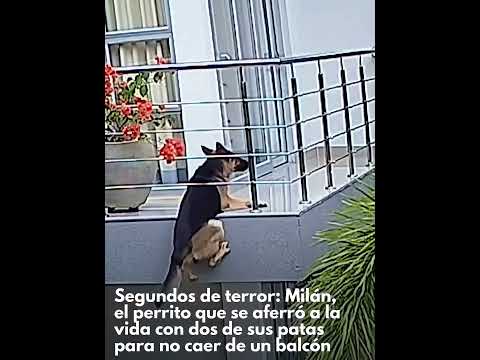 Un descuido, y la historia pudo terminar en tragedia