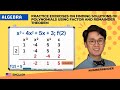 Understanding Polynomials and Their Properties