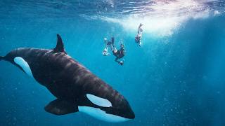 WHAT IS #1 ON OUR BUCKET LIST?? IT FINALLY HAPPENED!!