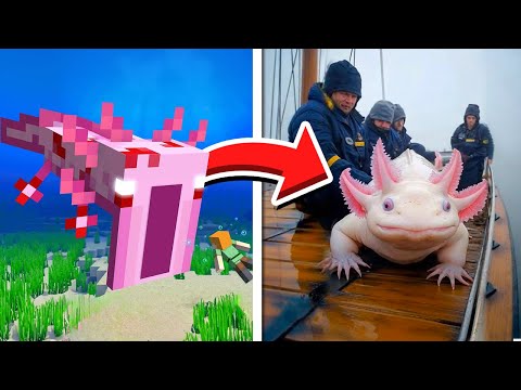 Mobs do Minecraft CAPTURADOS NA VIDA REAL