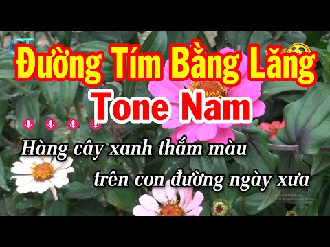 Karaoke Đường Tím Bằng Lăng Tone Nam D#m | Nhạc Sống Tuấn Cò