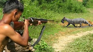 BERBURU MUSANG & HAMA KALONG‼️the deadly struggle of hunting wild weasel and bats
