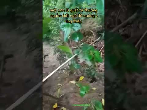 Trận lũ quét từ trên cao bất ngờ ùm ùm kéo xuống không hề có dấu hiệu báo trước
