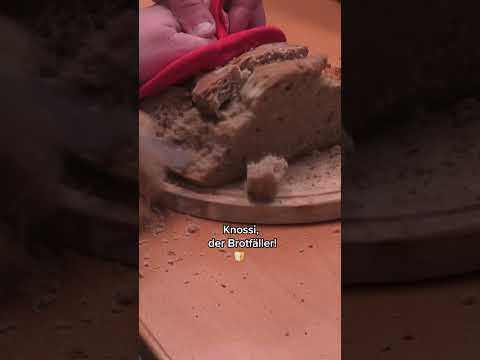 Habt ihr keine Messer? 🧐 #knossi #bigbrother #brot #säge