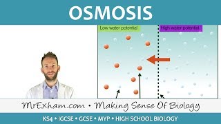 Osmosis | Biology