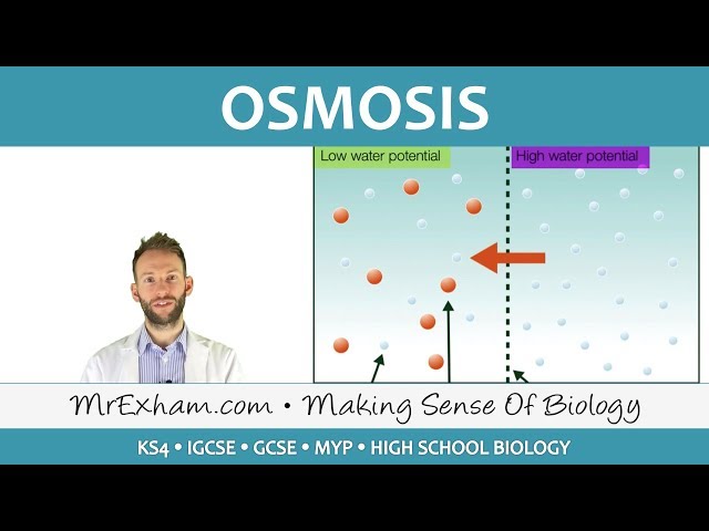 Osmosis | Biology