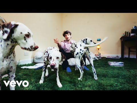 Rex Orange County - AMAZING (Official Audio)