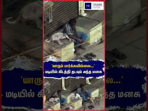 'யாரும் பார்க்கவில்லை...' மடியில் கிடத்தி தடவும் அந்த மனசு #Dogs #Dog #Straydog #Pets #Petanimals