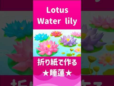 仏様✨座ってくれるかな？#折り紙 #蓮 #睡蓮 #作り方 #lotus #lotusflower #waterlily