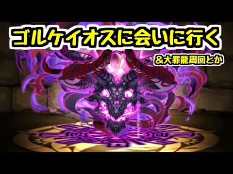 【生放送】例の隠しキャラに会いに行く＆周回とか【パズドラ】
