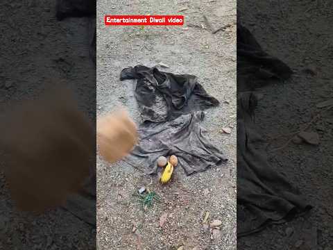 Entertainment Diwali Video #comedy #shorts #youtube #video #funny #reel #viral #trending