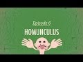 Exploring the Concept of Homunculus in Human Sensation