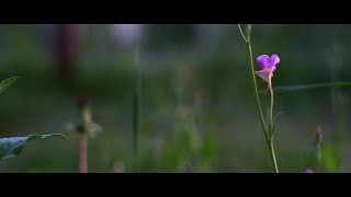 アニメーション×映像作品『あいつら』