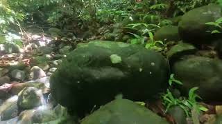 Treasure hunt libagon Southern 