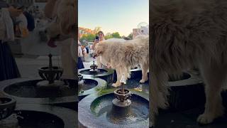 Pulpulak / drinking fountain on Republic Square in Yerevan