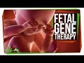 Gene Therapy and Its Implications