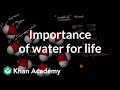 Essential Properties of Water for Life