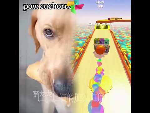 😂😂😂