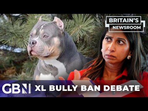 'These dogs are weapons grade' | American XL Bully ban debate