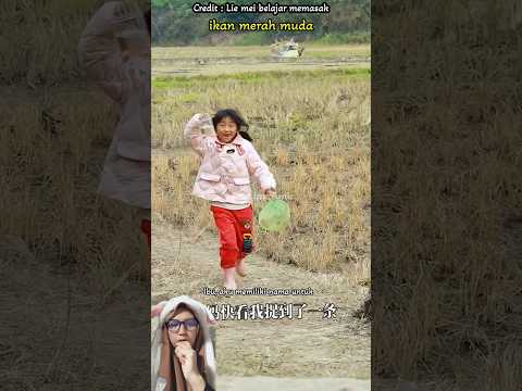 ikan merah muda #shorts #dubbing #funnyvideos
