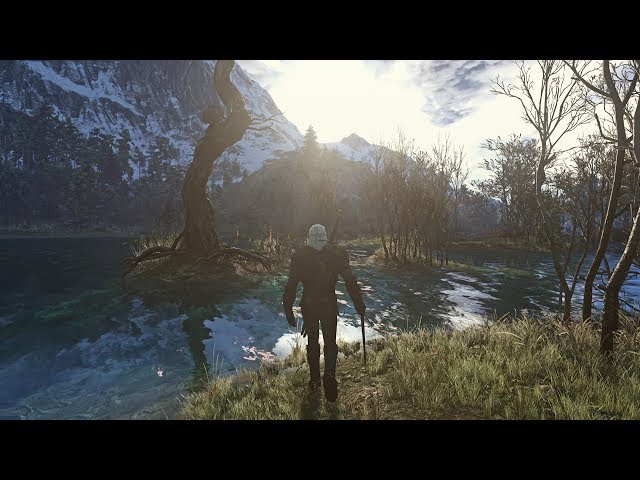 Witcher 3: Extreme modded graphic gameplay | NEW Yggdrasil Reshade | Super Turbo Lighting Mod