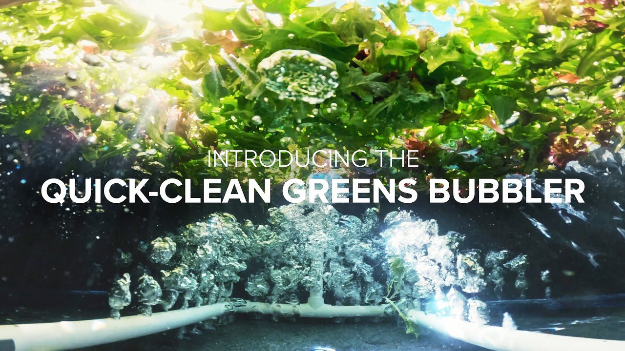 Introducing the Quick-Clean Greens Bubbler!